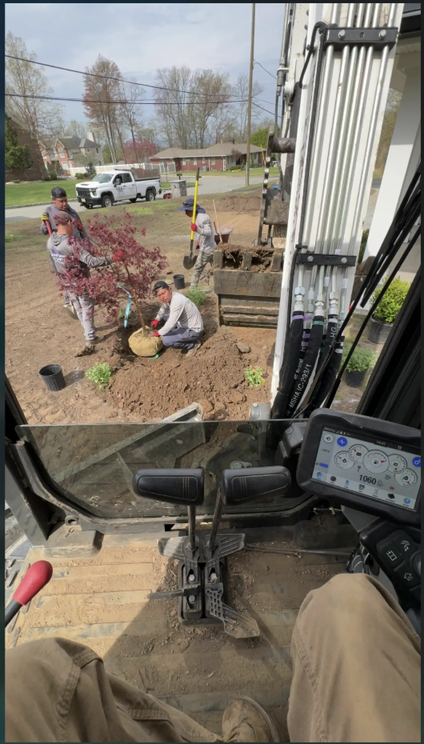 Ornamental Tree Planting